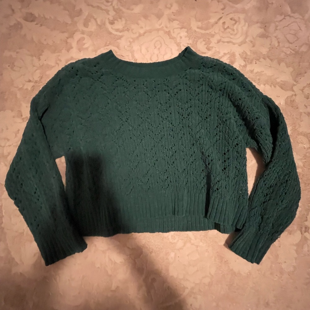 American eagle green cropped sweater